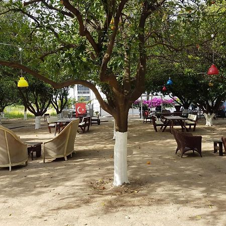 Agva Apart Otel Kemer Buitenkant foto