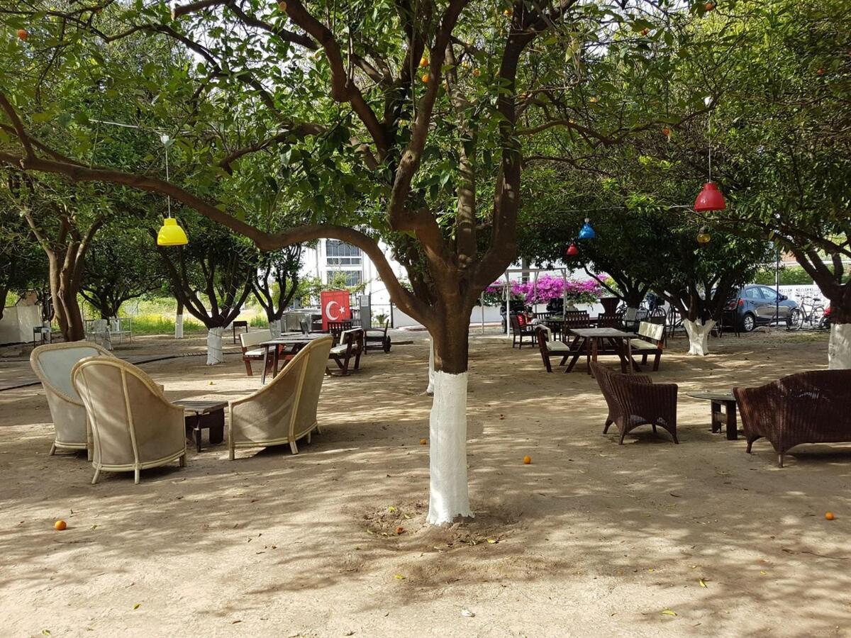 Agva Apart Otel Kemer Buitenkant foto