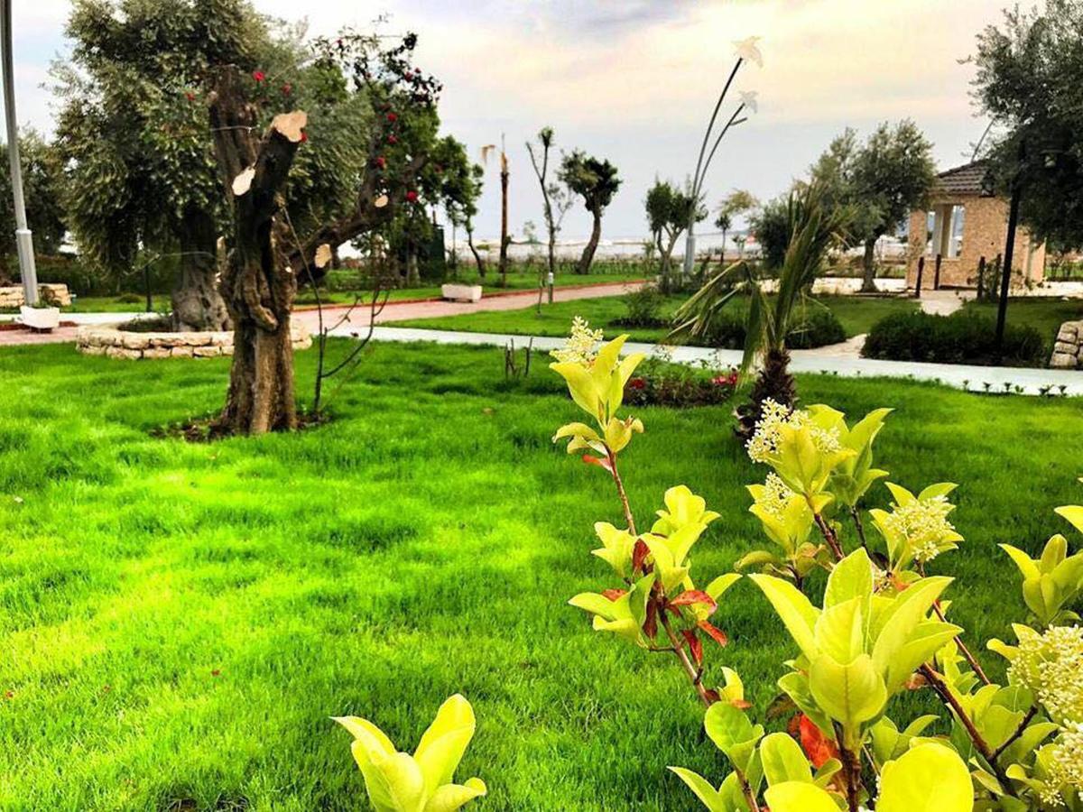 Agva Apart Otel Kemer Buitenkant foto